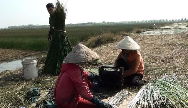 Thanh Hóa có 62 văn bằng bảo hộ thương hiệu sản phẩm nông nghiệp, làng nghề